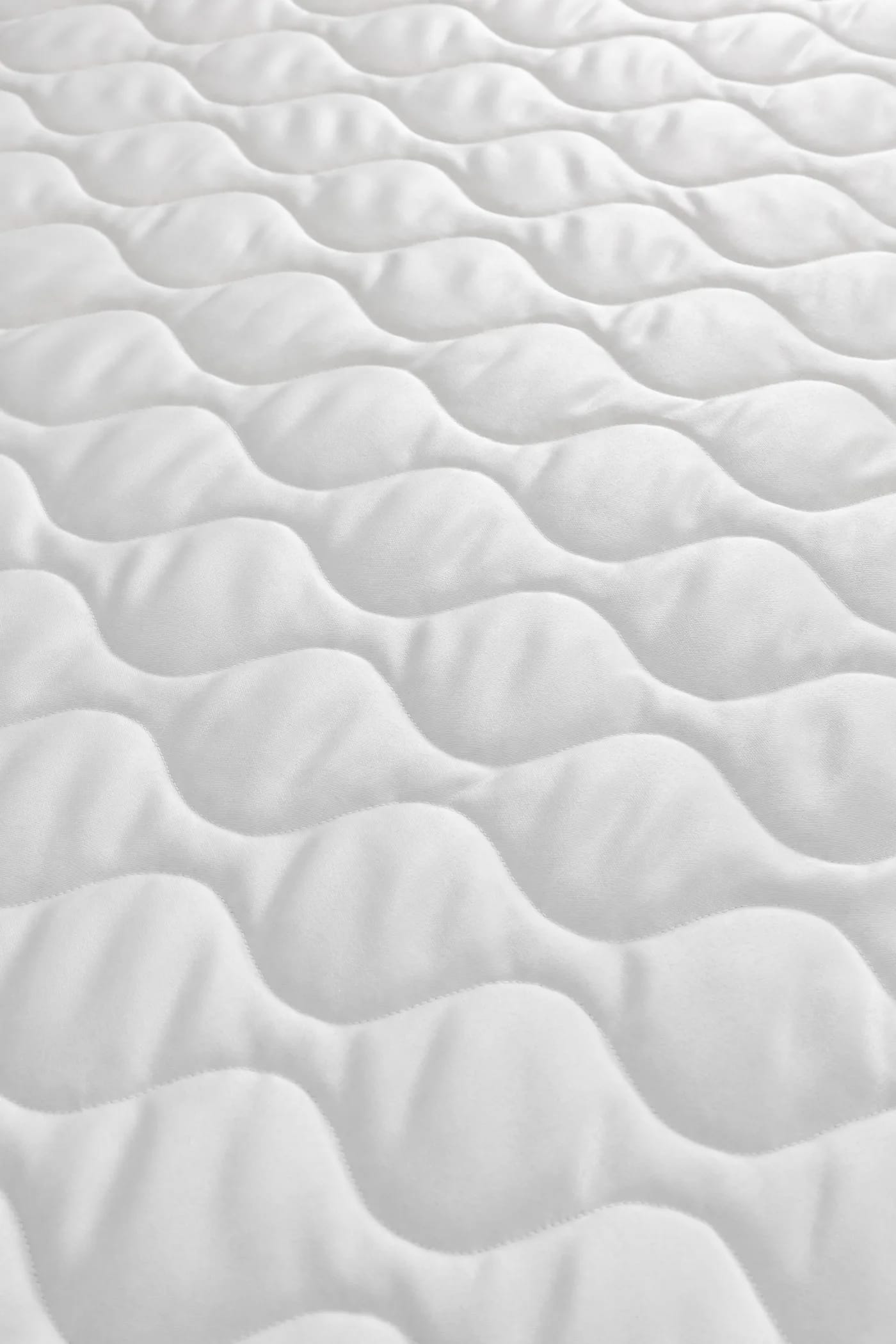 DONATELLA - 5