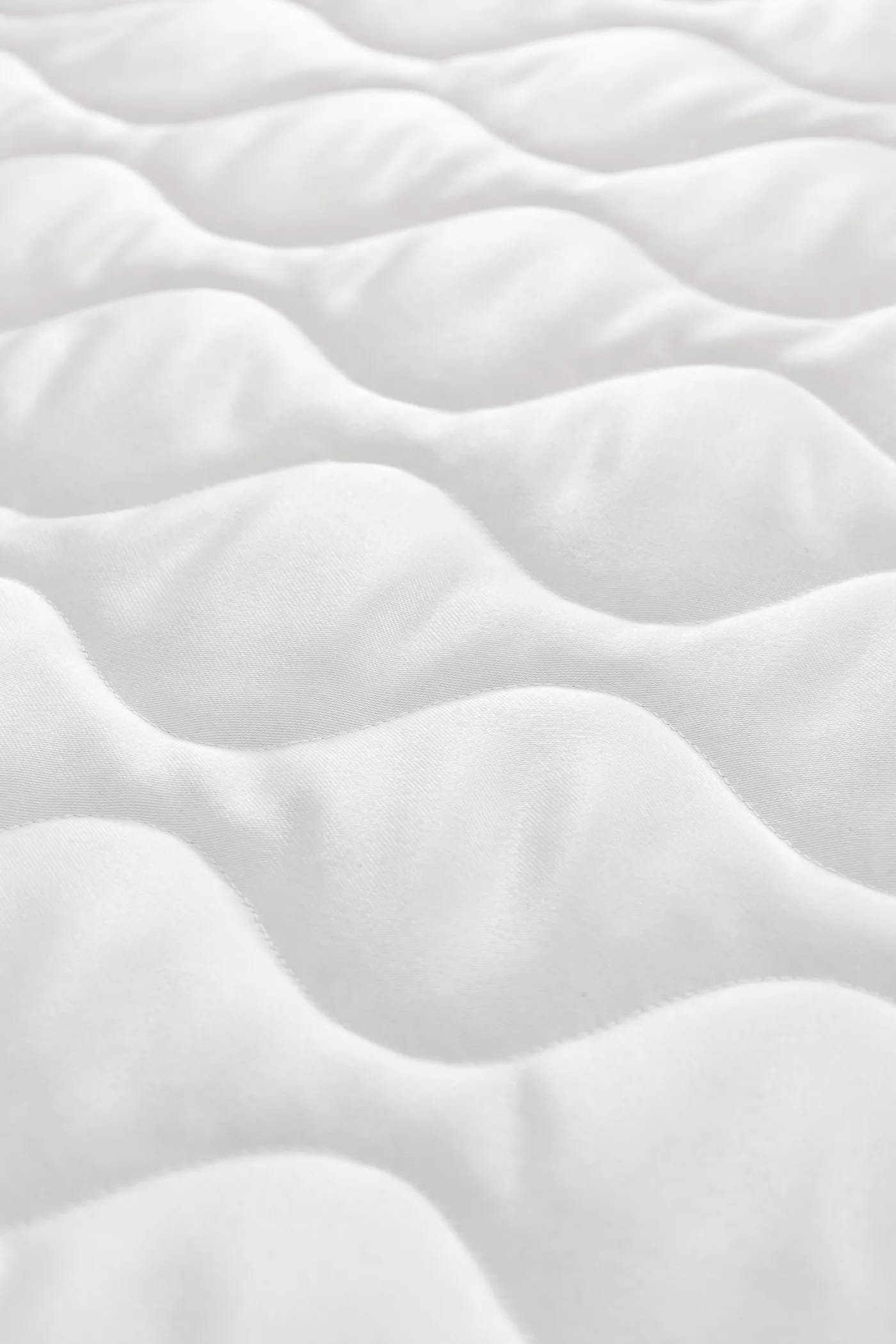 DONATELLA - 8